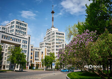 У Харкові цвіте бузок (фото)