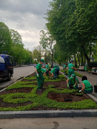 Новини Харкова: у саду Шевченка висаджують клумби