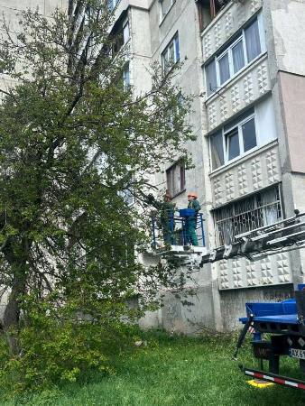 � ����������� ������ ������� ���������� ������ ���������� ������� ������� �����