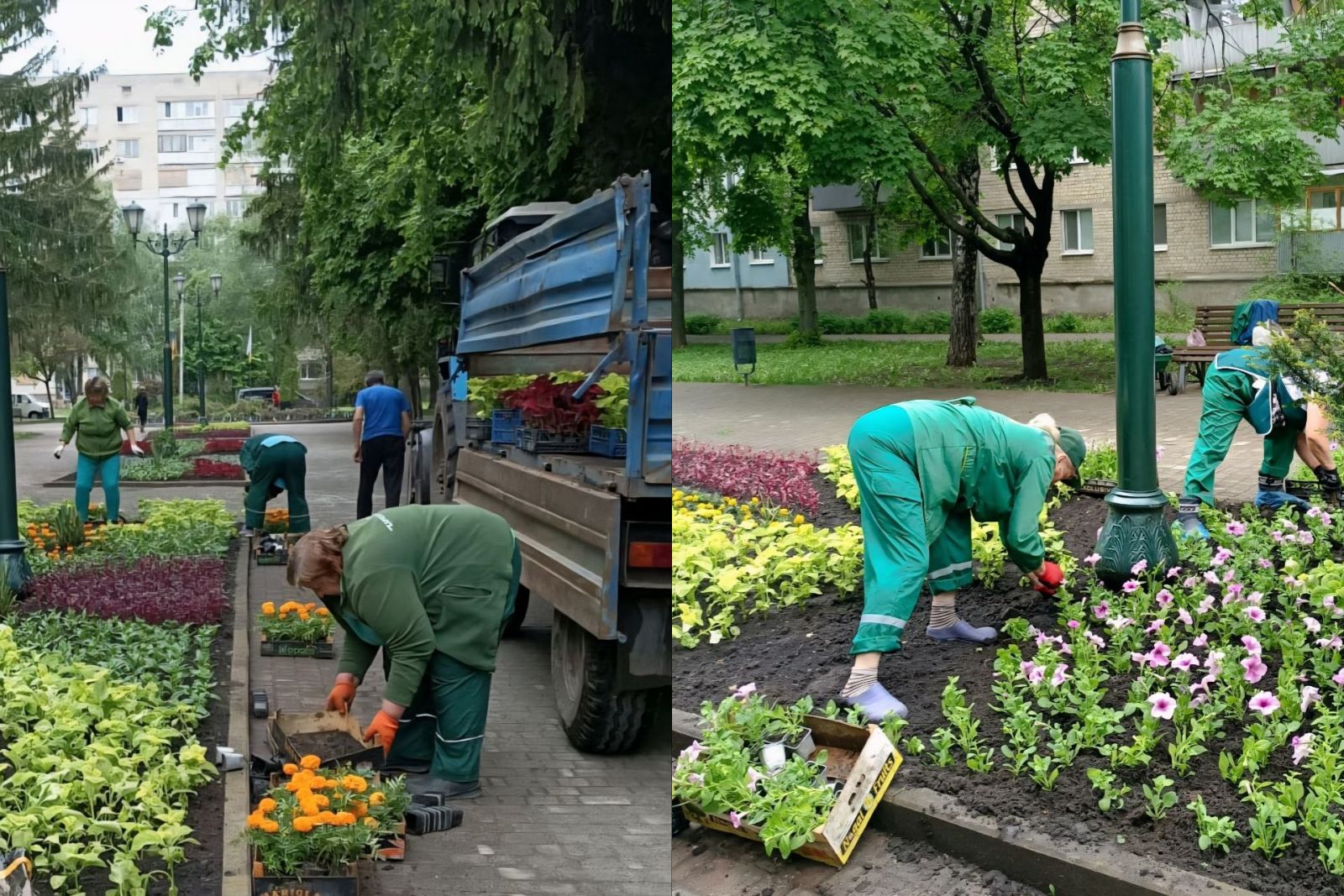 В Харкові висадять тисячі квітів у сквері на бульварі Миру