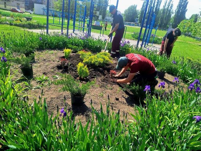 Новини Харкова: у дворах висаджують квіти
