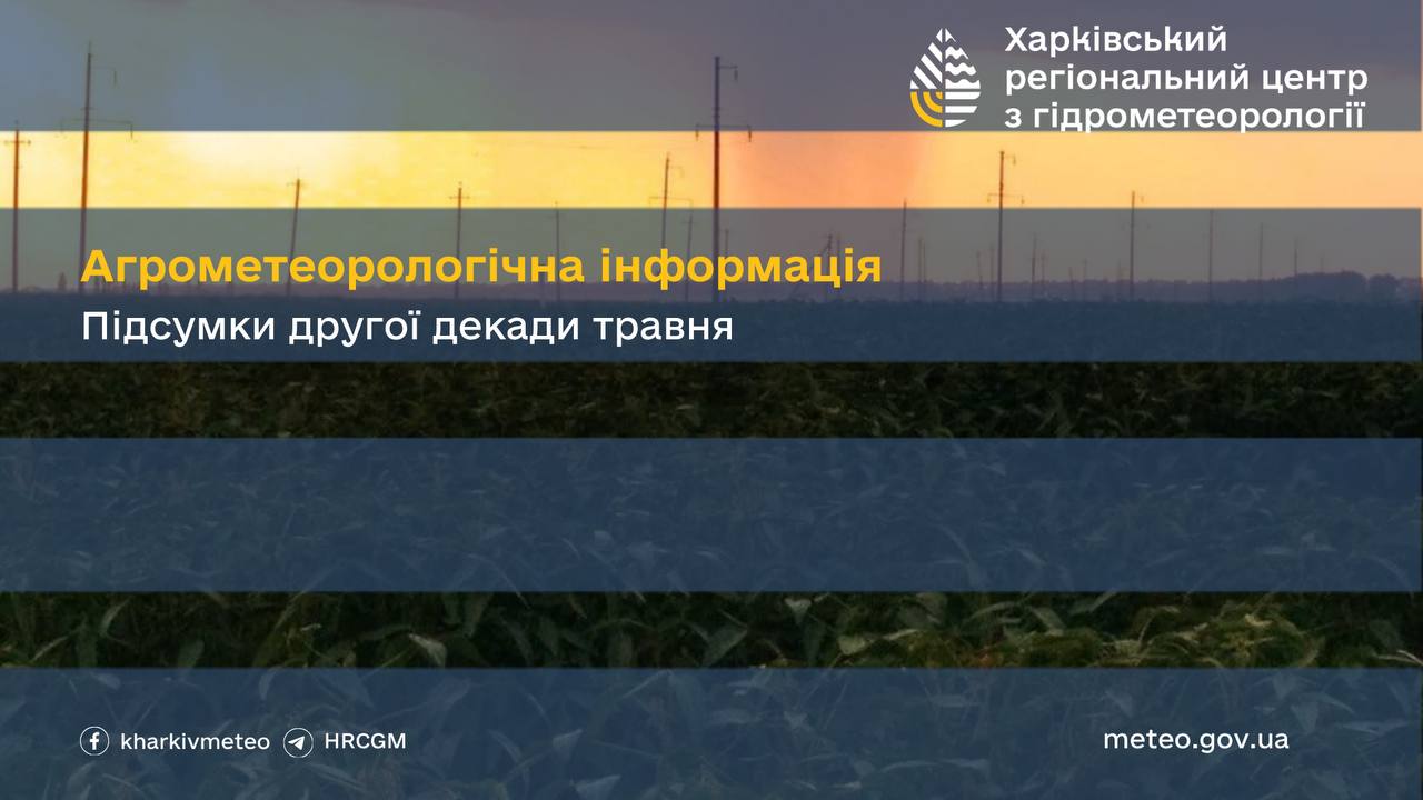 Чи сприяли агрометеорологічні умови розвитку сільськогосподарських культур на Харківщині