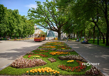 День вишиванки у Харкові (фото)