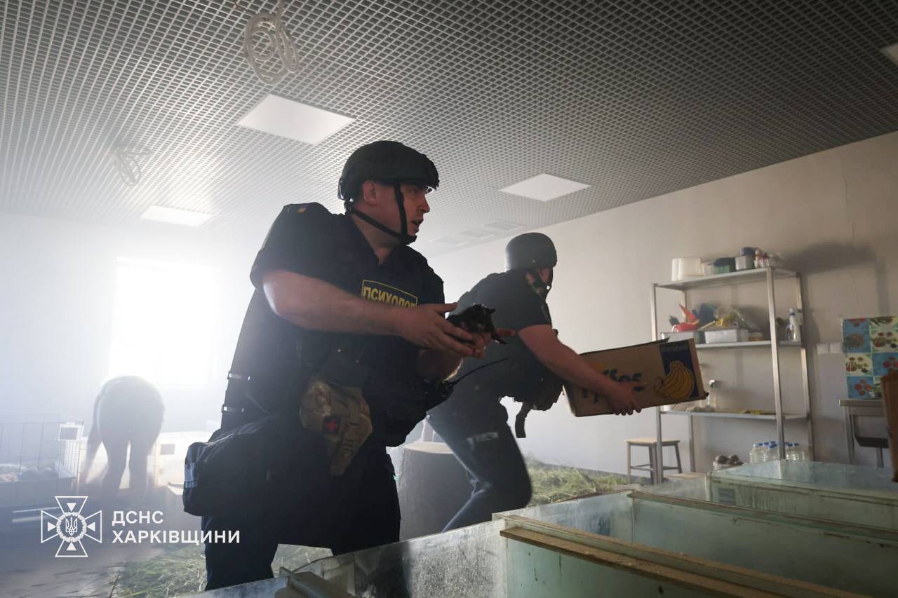Загинули кілька тварин через улар по харківському зоопарку окупантів: Новини Харкова