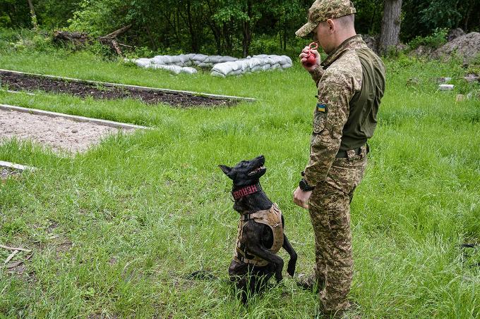Гвардійські кінологи «Скіфів» удосконалюють підготовку службових собак