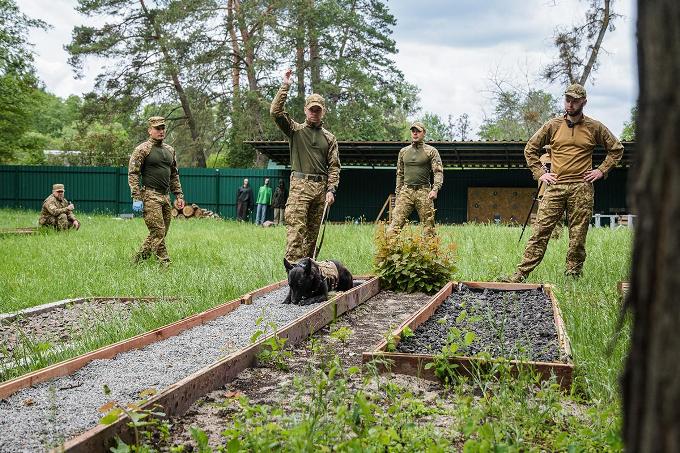 Гвардійські кінологи «Скіфів» удосконалюють підготовку службових собак