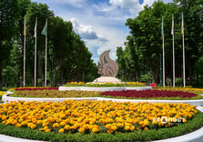 У Центральному парку Харкова цвітуть троянди (фото)