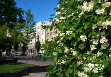 Літо у Харкові (фото)