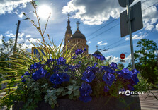 Літо у Харкові (фото)