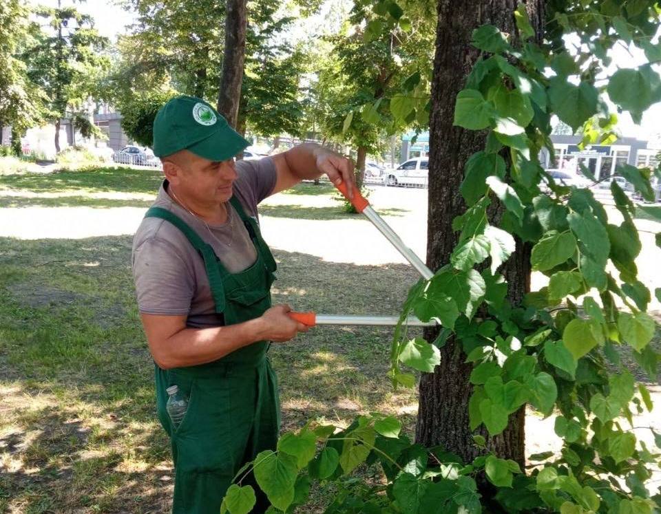 У Харкові скосили десятки гектарів газонів у парках та скверах (фото)