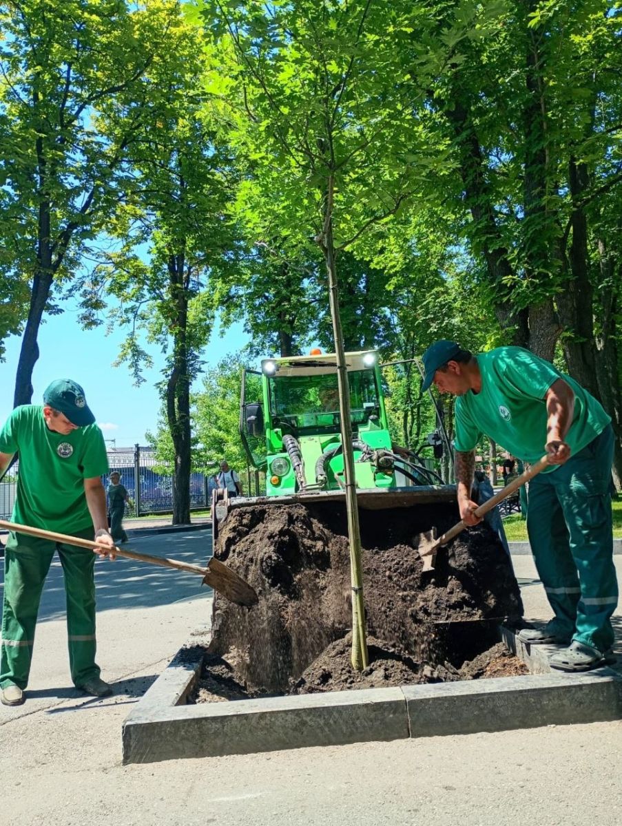 У саду Шевченка з'явився новий символ довголіття