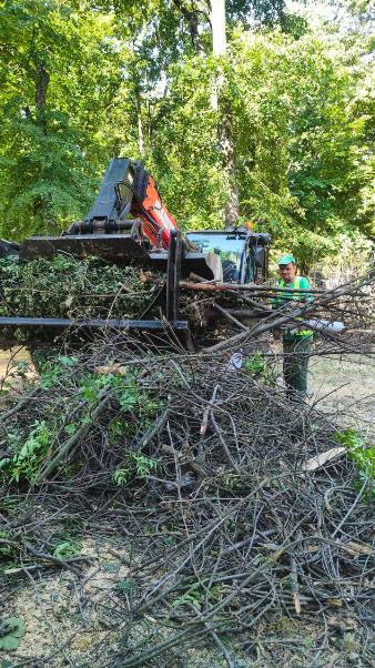 дерева парк юрьєва харків