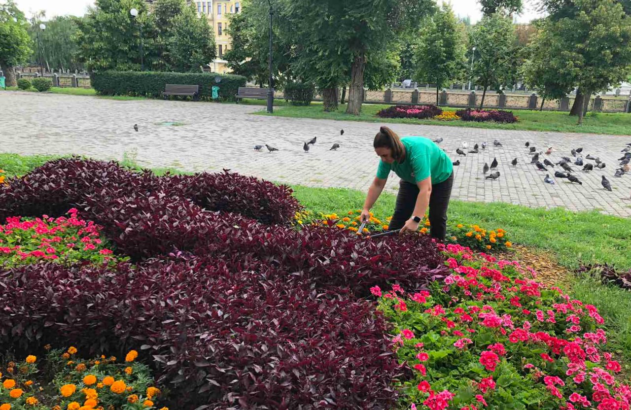 Квітучий Холодногірський район: що вже зробили комунальники