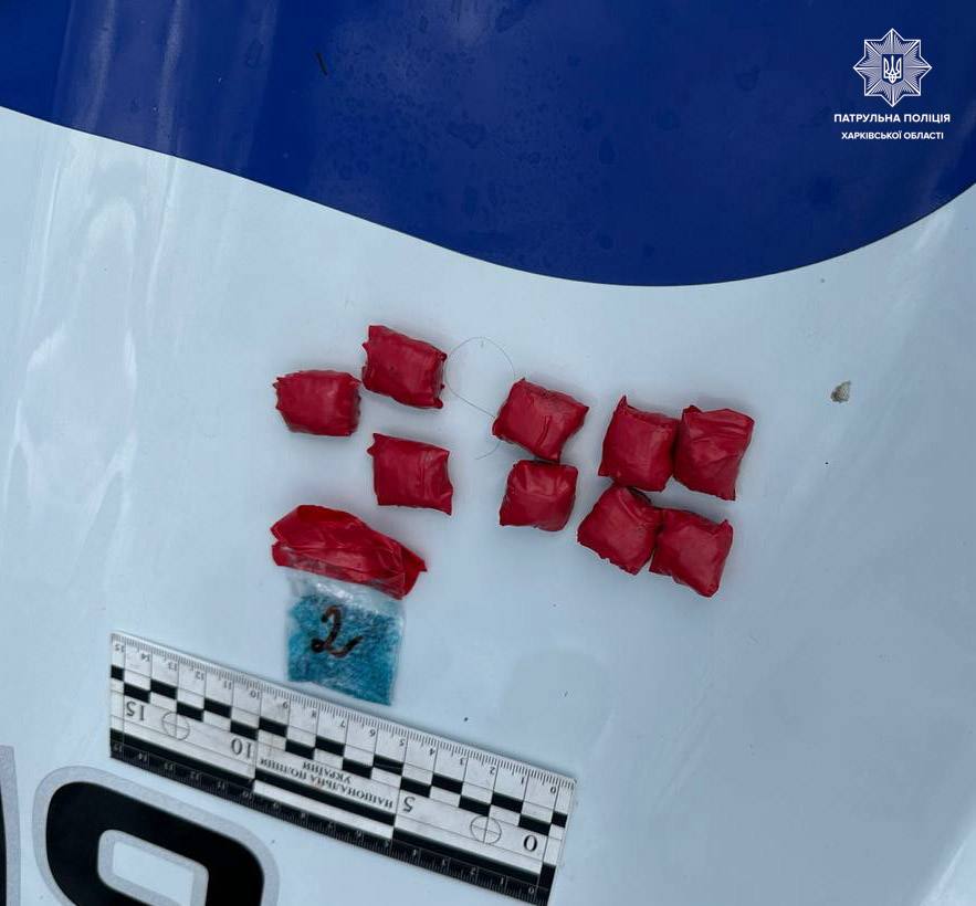 Побачив патрульних та зізнався у злочині: що знайшли у сумці перехожого на вулиці Кричевського у Харкові