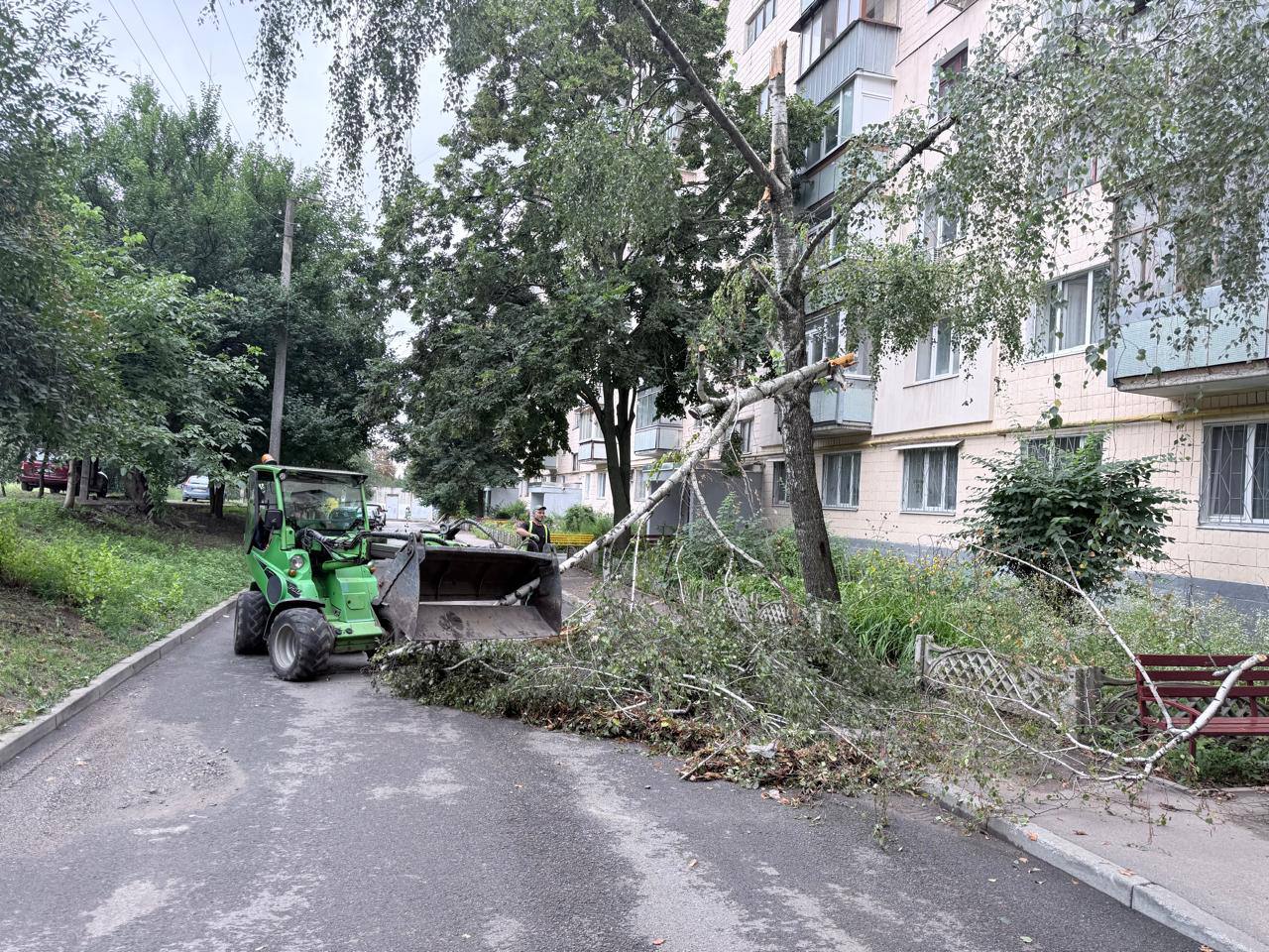 Впали десятки дерев та обірвало мережі: у Харкові кипить робота після негоди (фото)