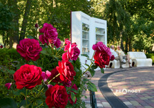 Середина серпня у Харкові (фото)