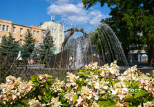 Середина серпня у Харкові (фото)