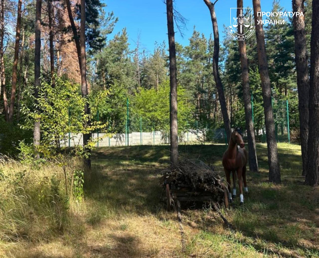 Відібрав 8 га рекреаційної землі у порушника суд: Новини Харкова