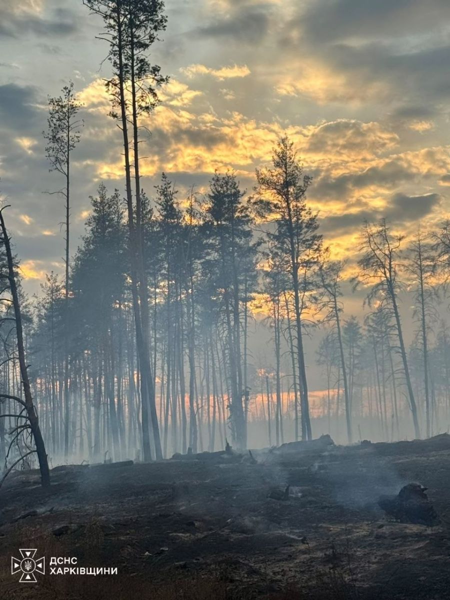 На Харківщині гасять сім лісових пожеж на площі 153 гектари