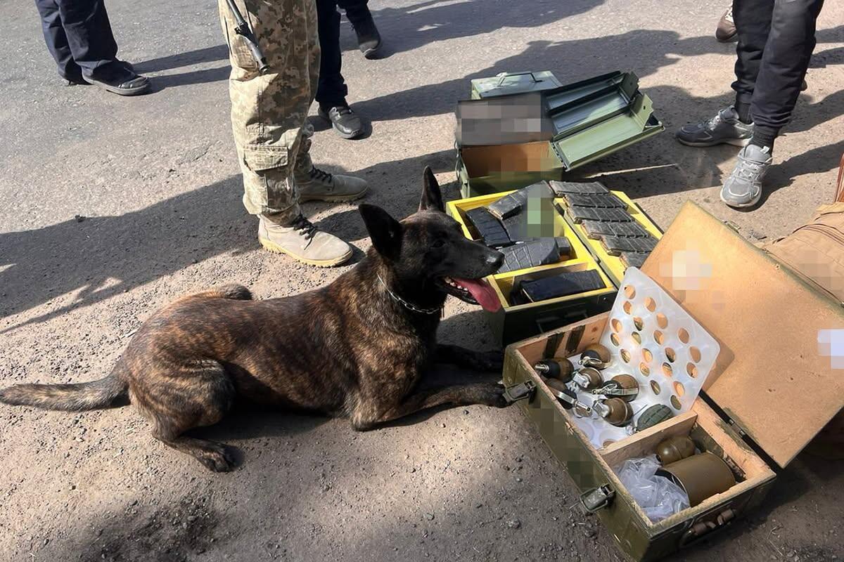 Перехопили гігантський арсенал у передмісті кінологи "Скіфів": Новини Харкова