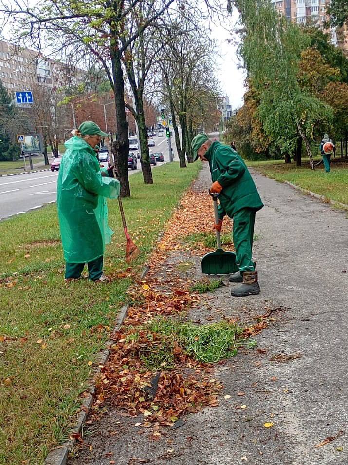 У Харкові триває прибирання опалого листя та сухих дерев