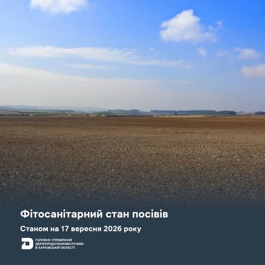 На Харківщині виявили бавовникову совку та мишоподібних гризунів