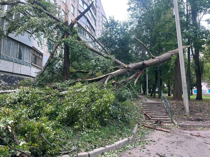 Новини Харкова: майже 100 повідомлень про повалені дерева