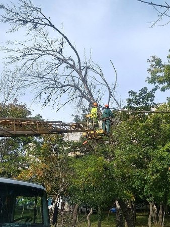 Новини Харкова: ліквідація наслідків негоди