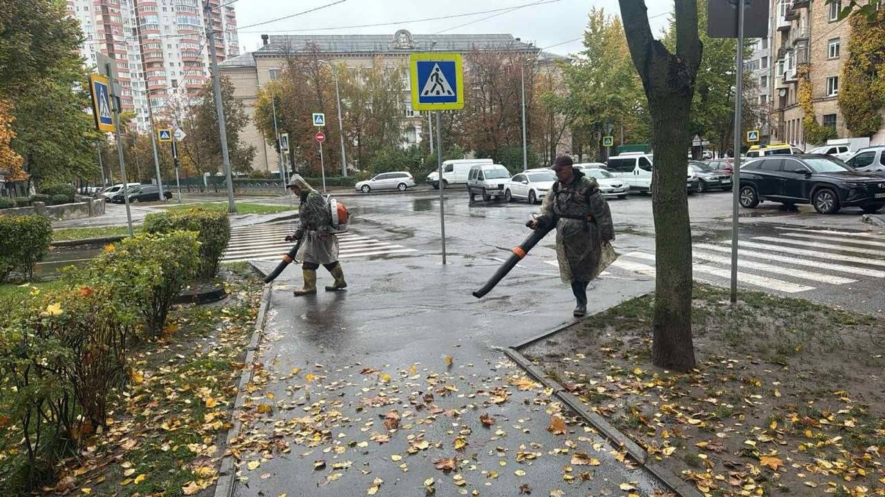 У Харкові комунальники вивезли сотні кубометрів листя та готуються до його переробки