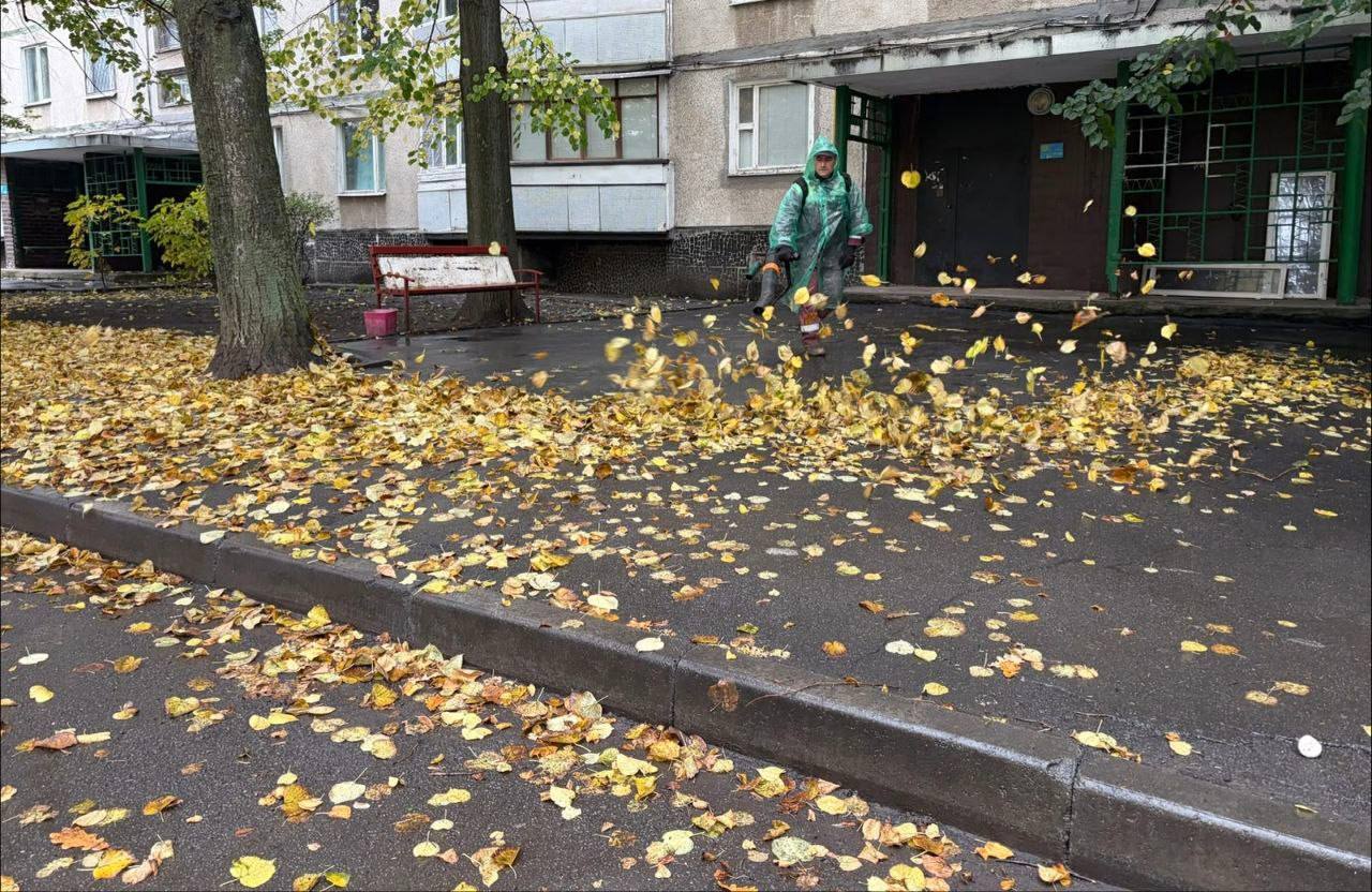 У Харкові комунальники вивезли сотні кубометрів листя та готуються до його переробки