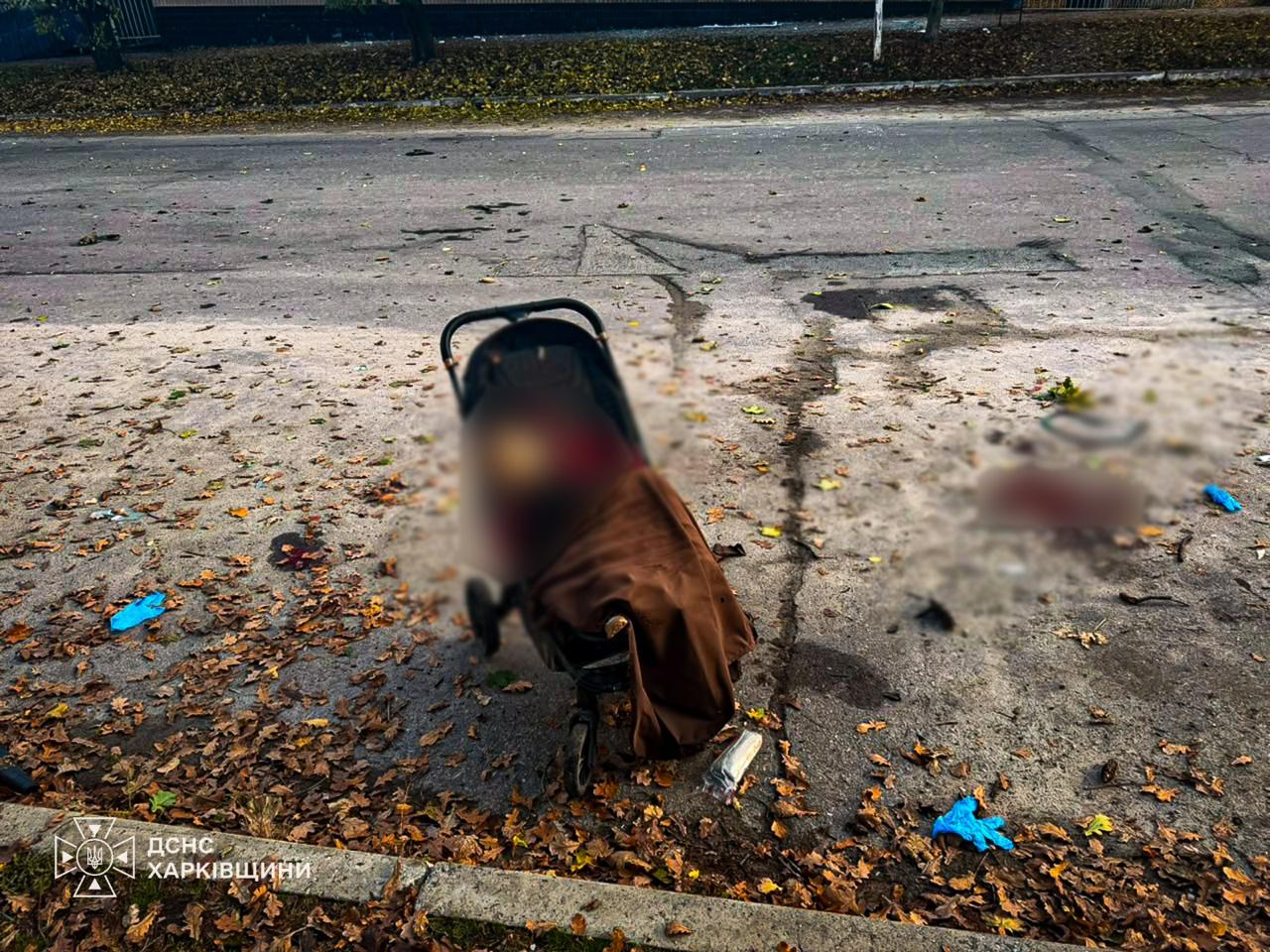 Вбили трьох дітей окупанти, вдаривши по парку на Харківщині: Новини Харкова