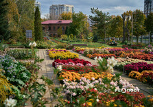 Осінь у Ботанічному саду у Харкові (фото)