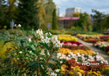Осінь у Ботанічному саду у Харкові (фото)