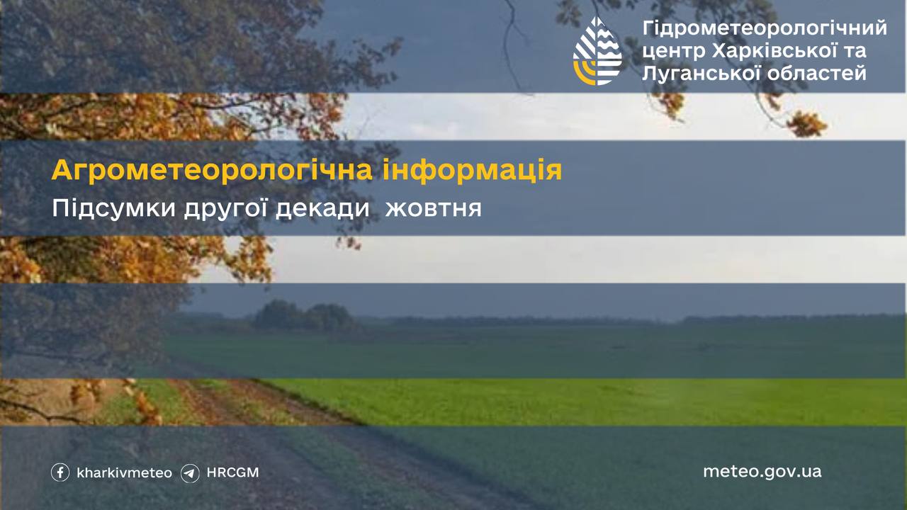 Дощі поповнили запаси вологи в ґрунті на Харківщині: стан озимини оцінили фахівці